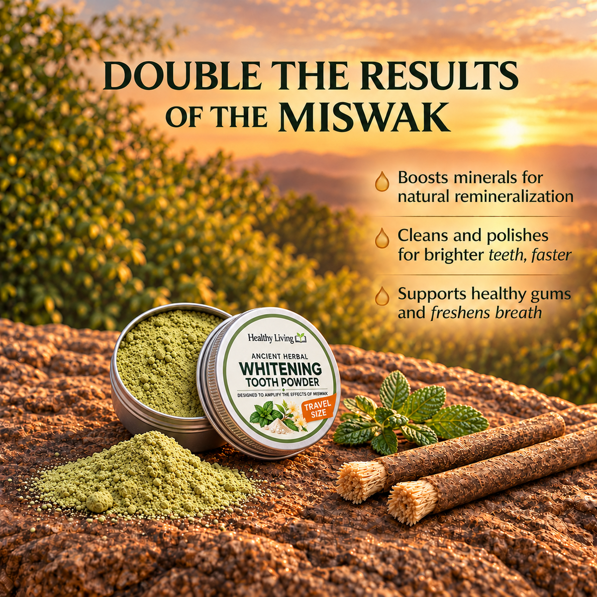 Ancient Whitening Tooth Powder - Travel Size