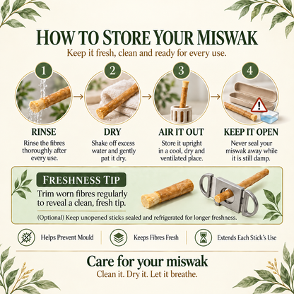 Miswak - Nature's Original Toothbrush