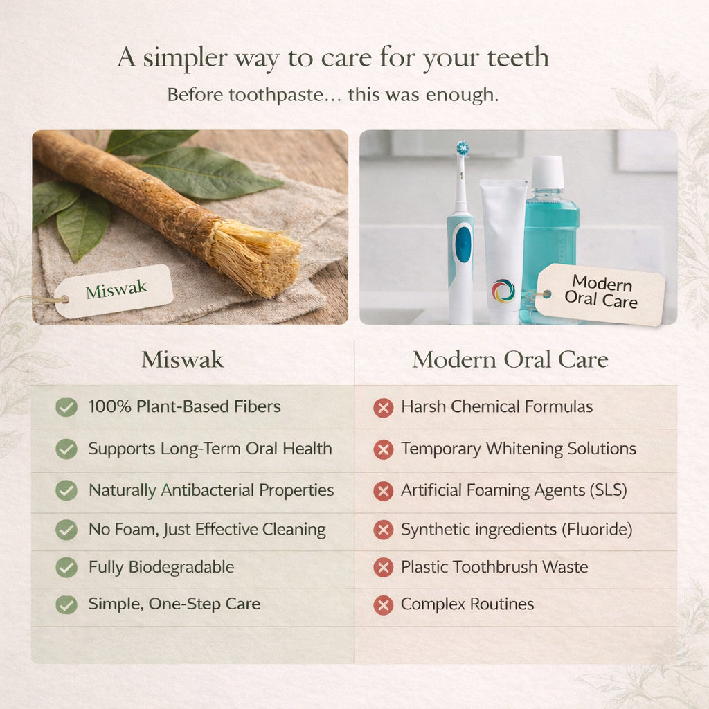 Ancient Miswak Toothbrush 1pc