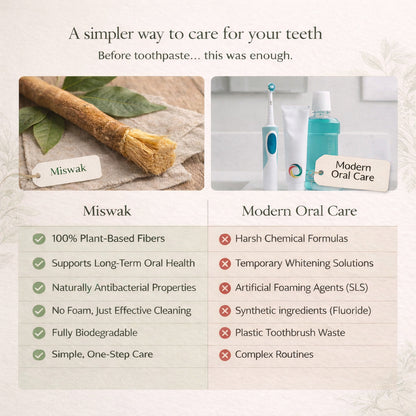 Ancient Miswak Toothbrush 1pc
