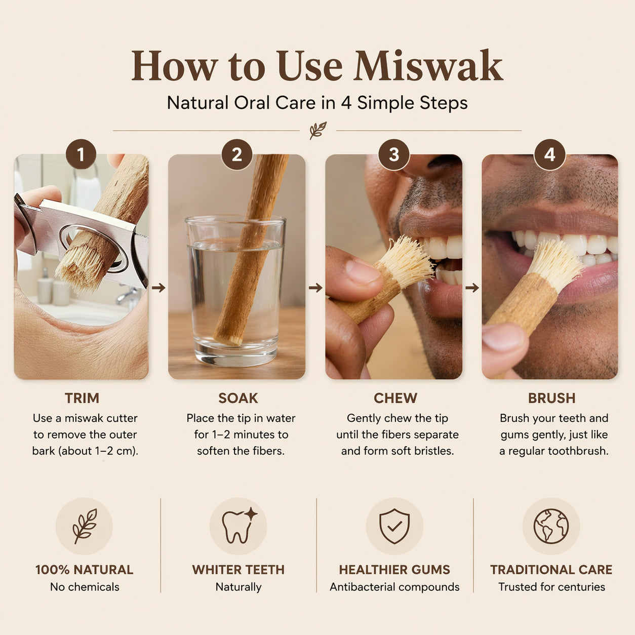 Ancient Miswak Toothbrush 1pc