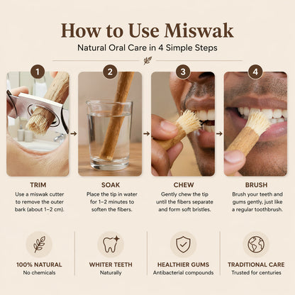 Ancient Miswak Toothbrush 1pc