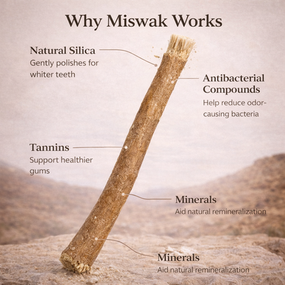 Ancient Miswak Toothbrush 1pc