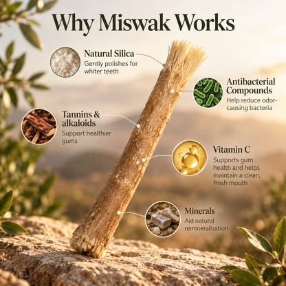 Miswak - Nature's Original Toothbrush