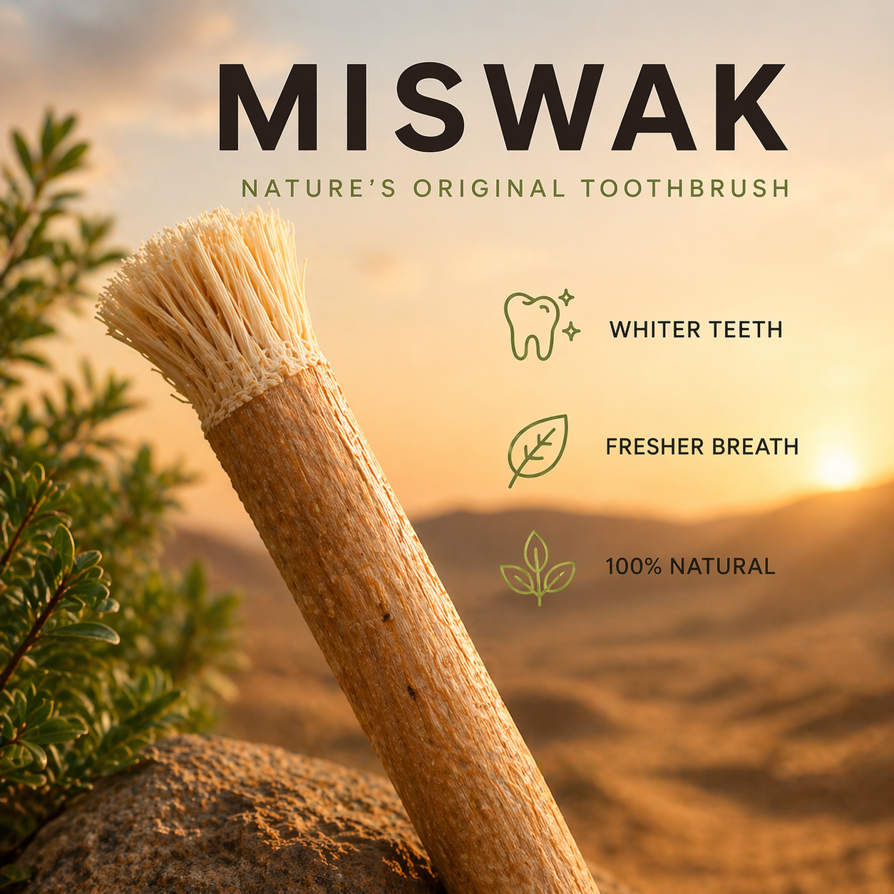 Miswak-Nature