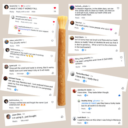 Ancient Miswak Toothbrush 1pc
