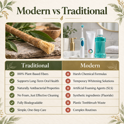 Miswak - Nature's Original Toothbrush