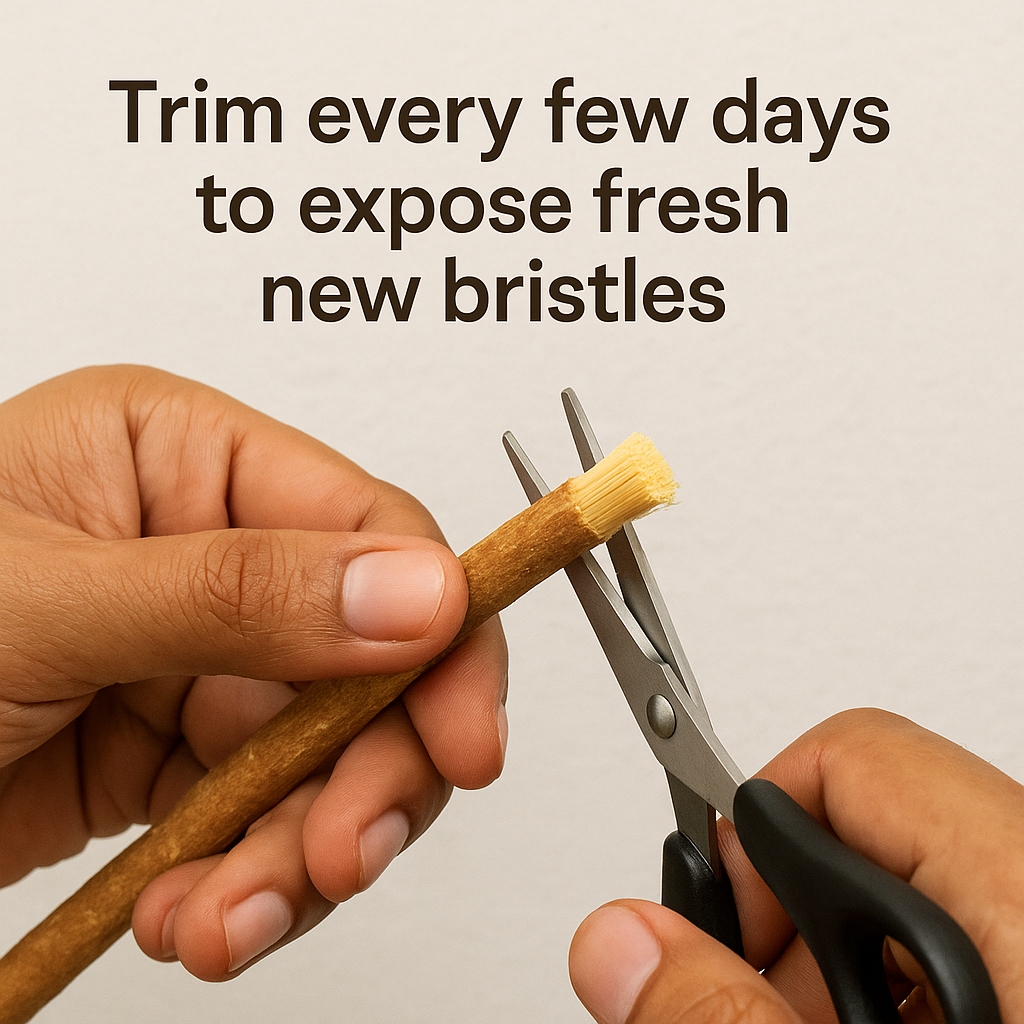 Ancient Miswak Toothbrush 1pc