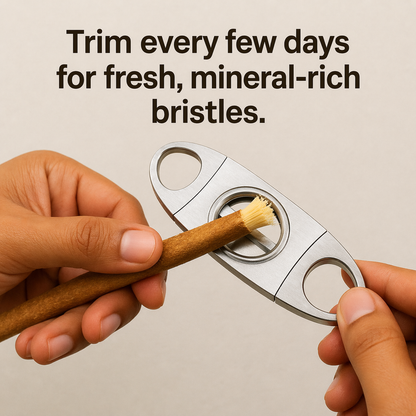 Ancient Miswak Toothbrush 1pc