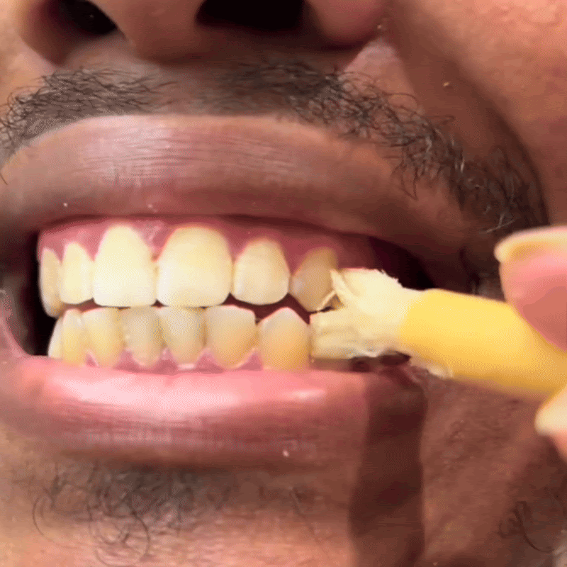 Ancient Miswak Toothbrush 1pc